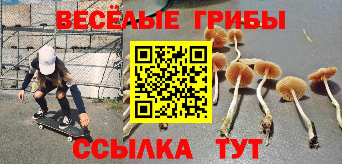 Галлюциногенные грибы Psilocybine cubensis  Вход с VPN  Железноводск 