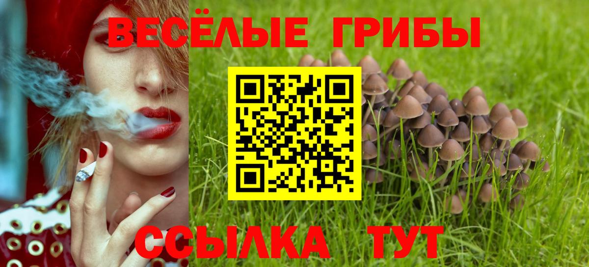 Галлюциногенные грибы мухоморы Железноводск